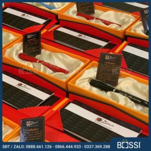 but-ky-cao-cap-picasso-916-logo-shb