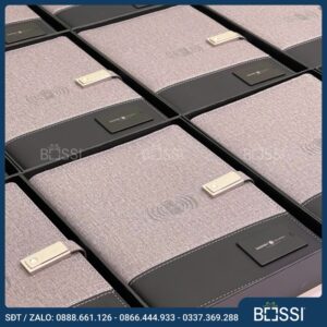 so-da-da-nang-kiem-sac-du-phong-ss08