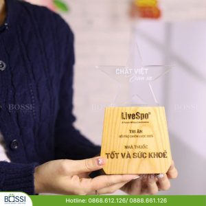 Kỷ niệm chương ngôi sao logo LiveSpo