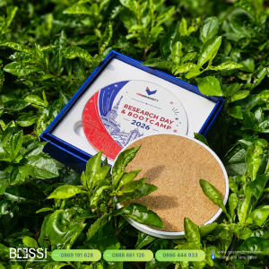 Đế lót cốc VinUni