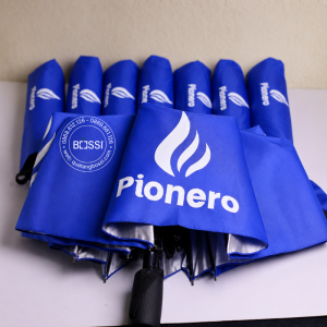 Ô Gấp 2 Pionero
